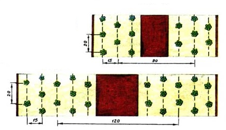 Схема посадки клубники на агроволокно