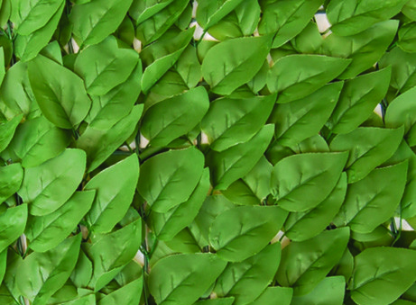 Декоративне зелене покриття "Листя"