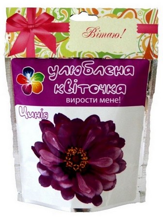 Домашний цветок «Цинния», 0,5 л