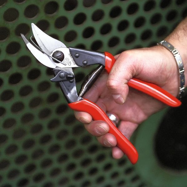 Секатор-ножиці Felco CP для шкіри / Фелко СР 121001004917 фото