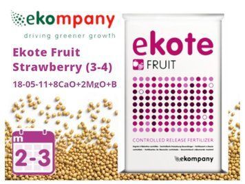 Добриво Ekote Fruit Strawberry 18-05-11+8CaO+2MgO+B (2-3 місяці) / 25 кг 120400102314 фото
