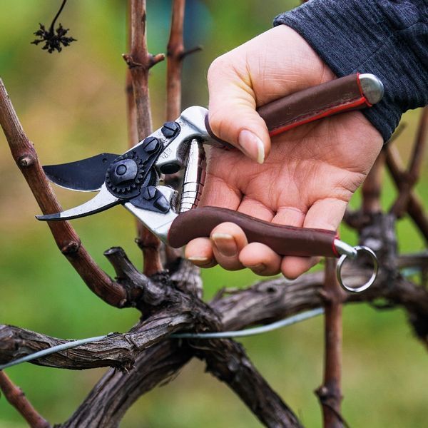 Садовый секатор FELCO 6 Elite средний обводной эргономичный кожаные ручки / Фелко 6 Elite 121001004980 фото Садовый секатор FELCO 6 Elite средний обводной эргономичный кожаные ручки / Фелко 6 Elite 121001004980 фото