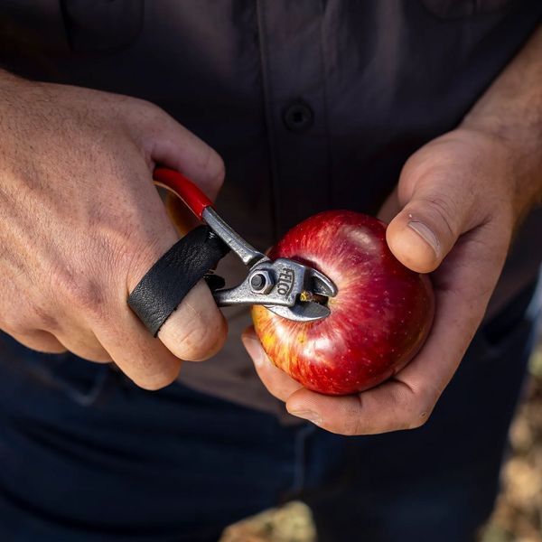 Секатор-щипцы FELCO 330 для сбора фруктов, удаление плодоножки / Фелко 330 121001004982 фото
