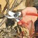 Садовий секатор FELCO 2 + Фирменная Шапка Фелко / Секатор + Фирменная Шапка Фелко 121001004985 фото 6