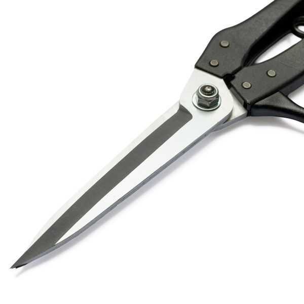 Секатор Kamaki Z-26K типа ножницы для бонсаев / Камаки Z-26K 121001007203 фото