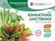 Добриво Floria Gran для кімнатних декоративно-листяних рослин гранульоване безхлорне Флорія Гран / 1 кг 120400103712 фото 2