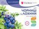 Добриво Floria Gran для лохини та чорниці гранульоване безхлорне Флорія Гран / 250 г 120400103721 фото 1