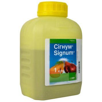 Фунгіцид Сігнум (піраклостробін 67 г/кг + боскалід 267 г/кг) W.G. / 1 кг 120400301208 фото