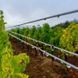 Проволока садовая шпалерная Agrario 1,8 мм вусокоуглеродистая оцинкованная, 50 кг / 2500 м 120600700201 фото 2
