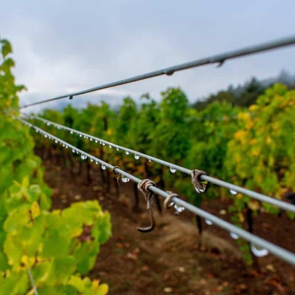 Проволока садовая шпалерная Agrario 2,5 мм вусокоуглеродистая оцинкованная, 50 кг / 1300 м 120600700203 фото