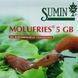 Молюскоцид (лимацид) Sumin Molufries 5 GB 500 г / средство от улиток и улиток на 1250 м2 120400600507 фото 2