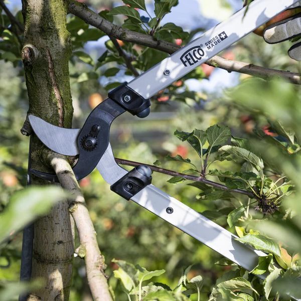 Сучкорез Felco 221-70 обводной / Фелко 221-70 121001223024 фото
