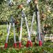 Сучкорез Felco 221-70 обводной / Фелко 221-70 121001223024 фото 4
