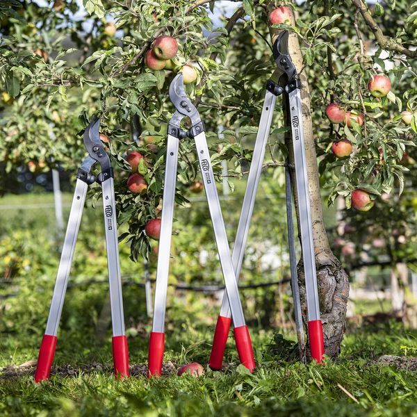 Сучкорез Felco 221-80 обводной / Фелко 221-80 121001223025 фото