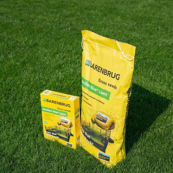 Газонная трава Barenbrug Resilient Blue Lawn Устойчивая к стрессу / 15 кг 110000900114 фото