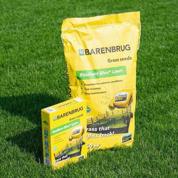 Газонная трава Barenbrug Resilient Blue Lawn Устойчивая к стрессу / 15 кг 110000900114 фото