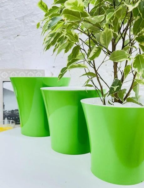 Горщик для кімнатних рослин пластиковий Plastdetal Donna 1,8 л, 16 см зелений з чорною вставкою / Пластдетал 120200201211 фото