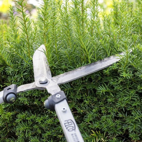Ножиці для кущів Felco 250-63 / кущорізи Фелко 250-63 121000994202 фото