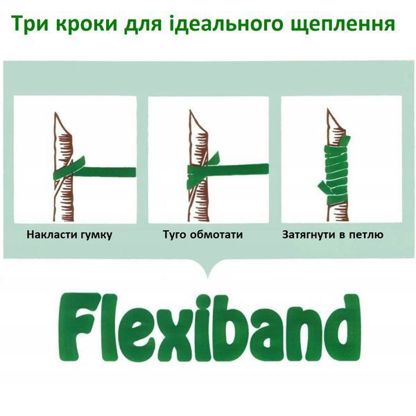 Резинка для прививки Flexiband A 120*3,5 мм, 200 г, 640 шт / Флексибенд А 121200100117 фото