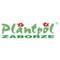 Planton