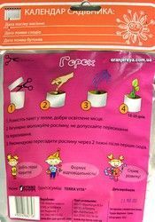 Домашнее растение &laquo;Горох&raquo;, 0,5 л 320-0102 фото