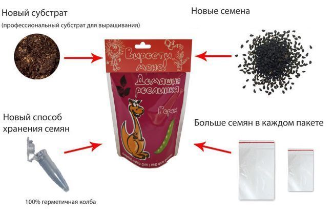 Домашнее растение &laquo;Горох&raquo;, 0,5 л 320-0102 фото
