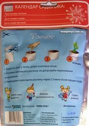 Домашнее растение &laquo;Томат&raquo;, 0,5 л 320-0104 фото