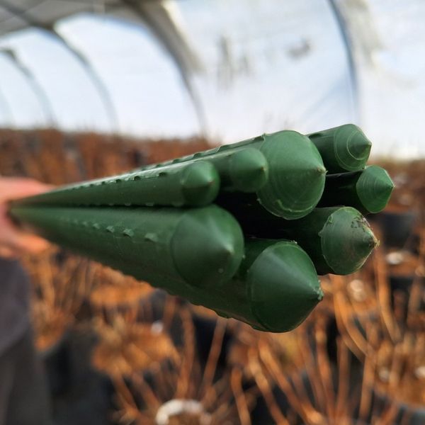 Металлическая опора для растений Agrario 8-60 с пластиковым покрытием 8 мм х 0,6 м / Аграрио 8-60 120600900223 фото