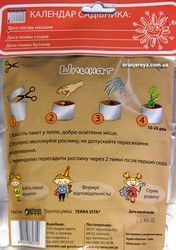 Домашнее растение &laquo;Шпинат&raquo;, 0,5 л 320-0106 фото