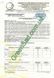 Трава газонная Greenline декоративная, 10кг 360-0271 фото 3
