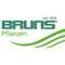 Bruns