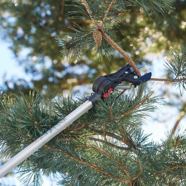 Высоторез-сучкорез Felco 290-4M телескопический 232-400 см / Фелко 290-4M 121001223033 фото