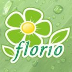Florio - Фото