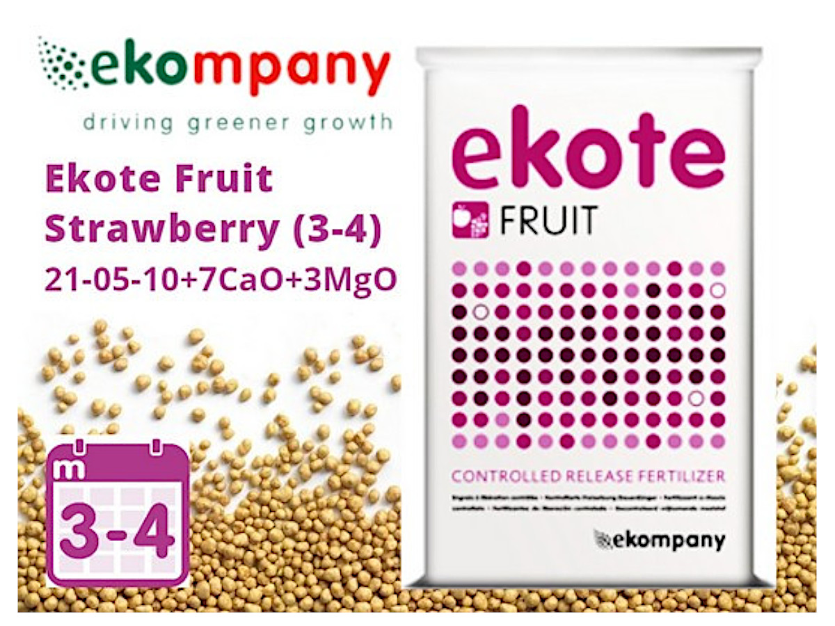 Добриво Ekote Fruit Strawberry 21-05-10+7CaO+3MgO (3-4 місяців) / 25 кг