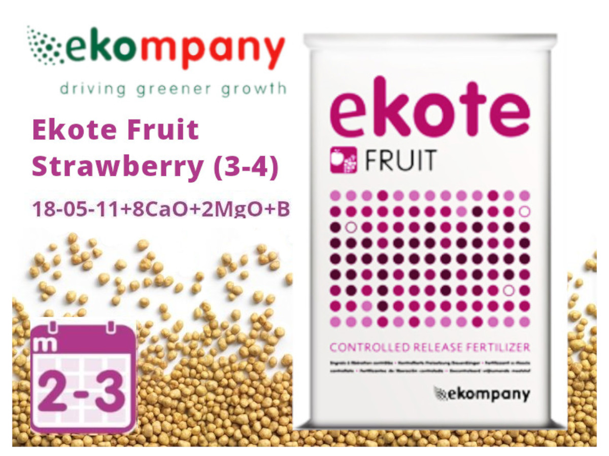 Добриво Ekote Fruit Strawberry 18-05-11+8CaO+2MgO+B (2-3 місяці) / 25 кг