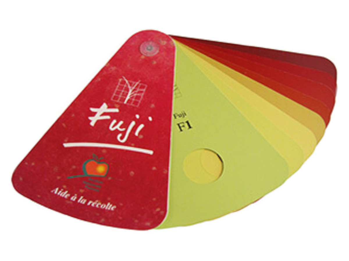 Цветовой шаблон Step System 45030 для яблок - Fuji, Tentation, Pink Lady, Gala or Golden Delicious