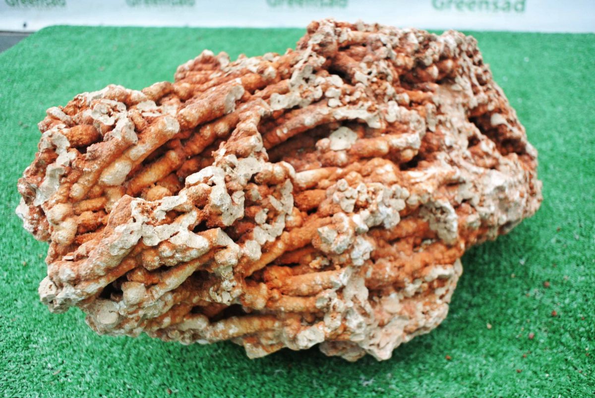 Кораллы натуральные «Spagetti» 10-20 см, 10 кг