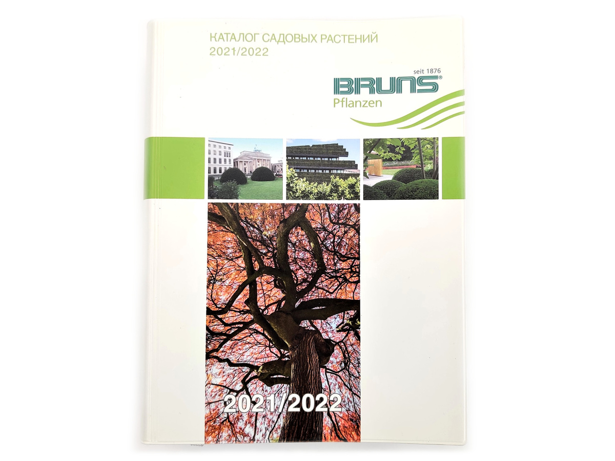 Каталог Брунс 2021-2022 / Видавництво Bruns