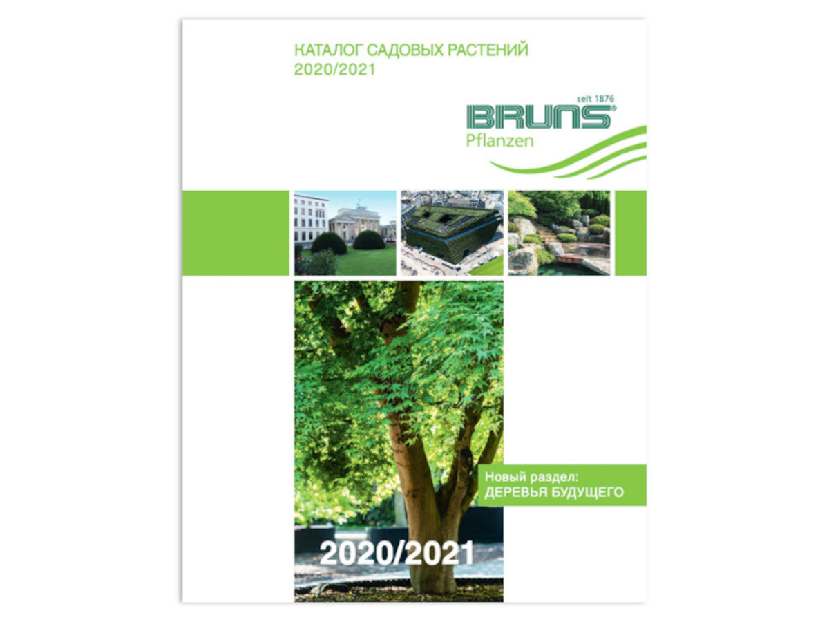 Каталог Брунс 2020-2021 / Издательство Bruns