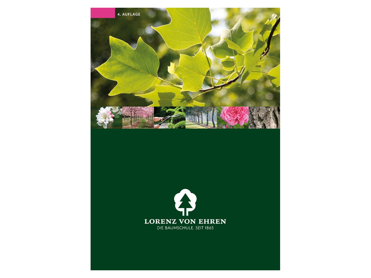 Каталог розплідника рослин "Lorenz von Ehren" Четверте видання